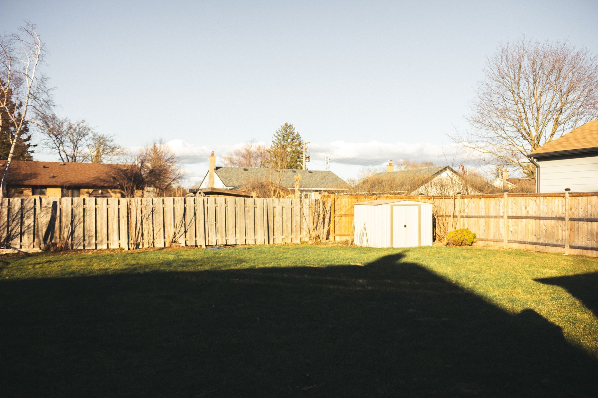 Wood privacy fence around a backyard with a shed, in low evening sun