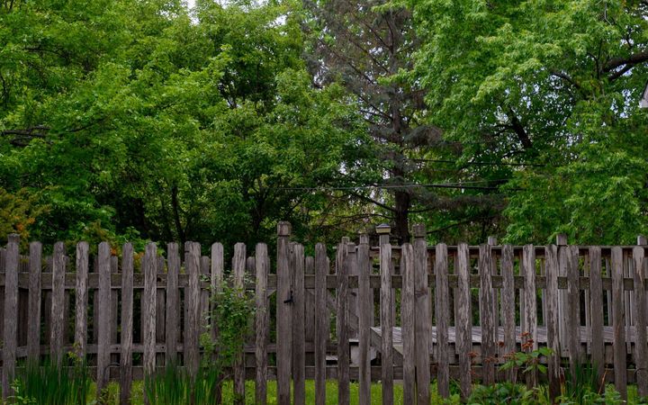 Weathered gray wood fence with uneven boards under green trees