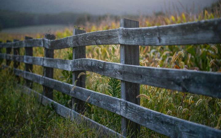 Weathered wood post-and-rail fence beside tall grass